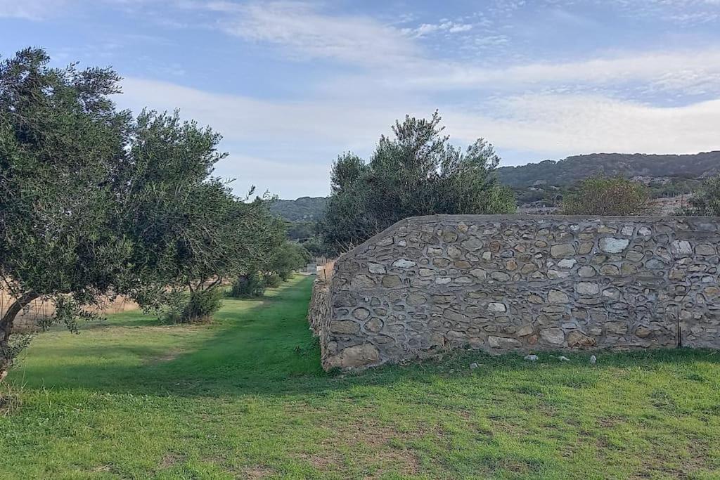 Entire Private House Close To The Port Karpathos Esterno foto